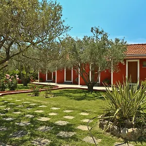 https://dendrolivano.kefaloniahotels.net